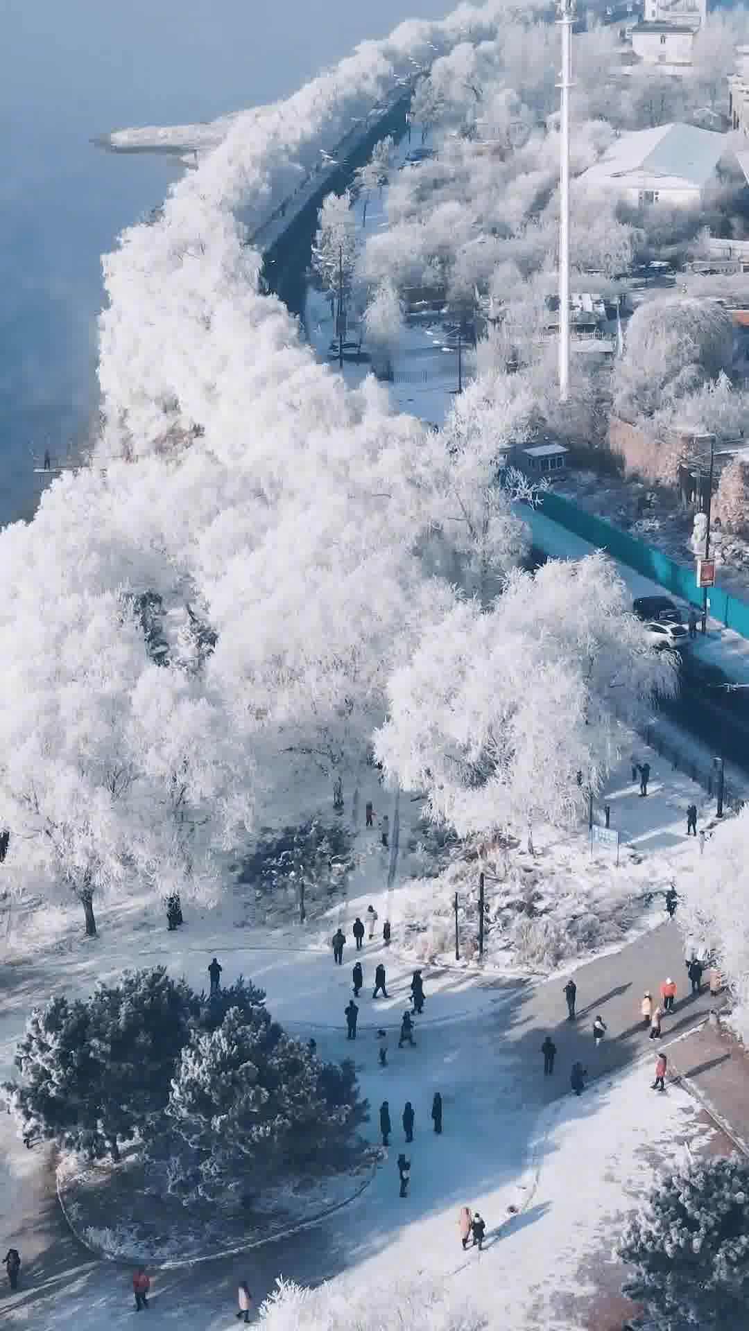 吉林,东北明珠的黑土地风情散文