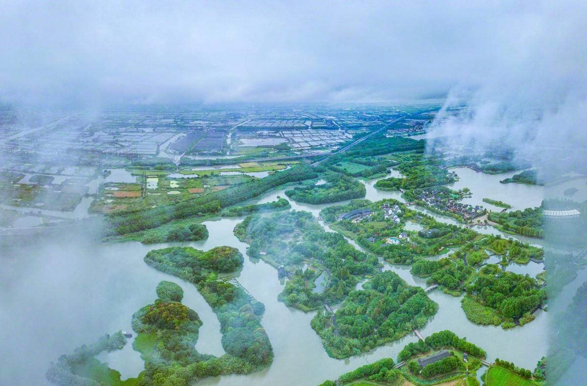 江苏,绿色发展与经济腾飞的双翼典范