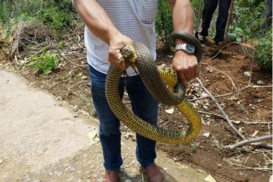 河南,千年古韵与现代化交响的璀璨之地