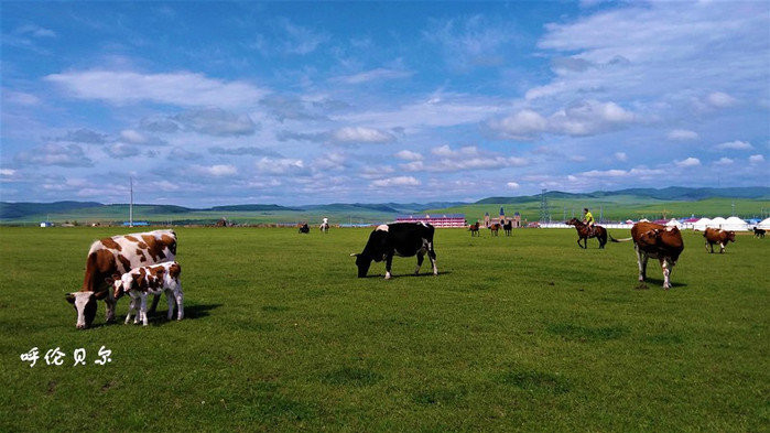 呼伦贝尔，生态保护与经济繁荣的双赢之路